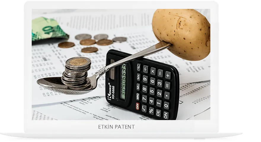 finansal davranışlara dair kombinasyon modeller-bayraklı patent